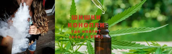 ГАЛЛЮЦИНОГЕННЫЕ ГРИБЫ Алексеевка
