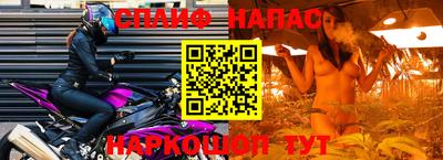 спиды Моздок