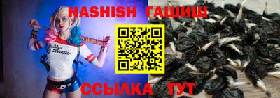 спиды Моздок