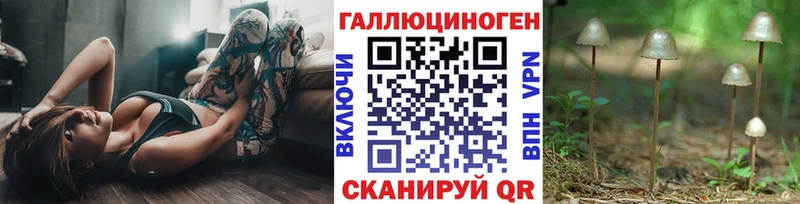 купить наркоту OMG зеркало Галлюциногенные грибы мухоморы Елизово