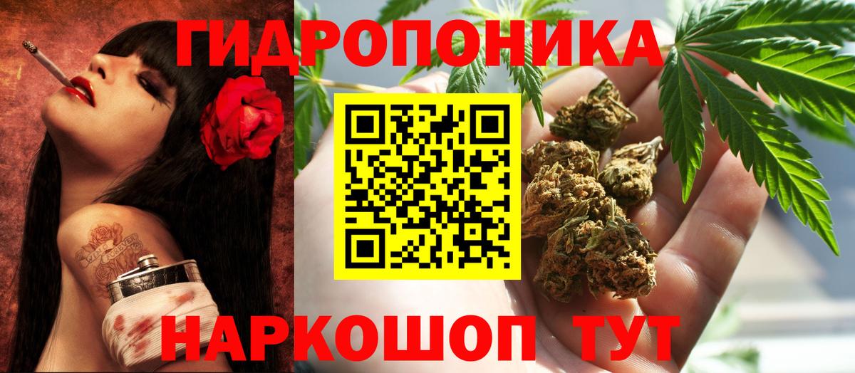 МАРИХУАНА ГИДРОПОН Елизово